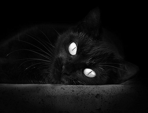 开云在线直播-“高新体育中心：篮球赛上演惊险时刻，选手巅峰对抗”