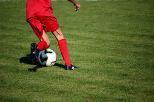 开云体育在线入口-俱乐部青训体系与职业联赛脱节，俱乐部青训有工资吗